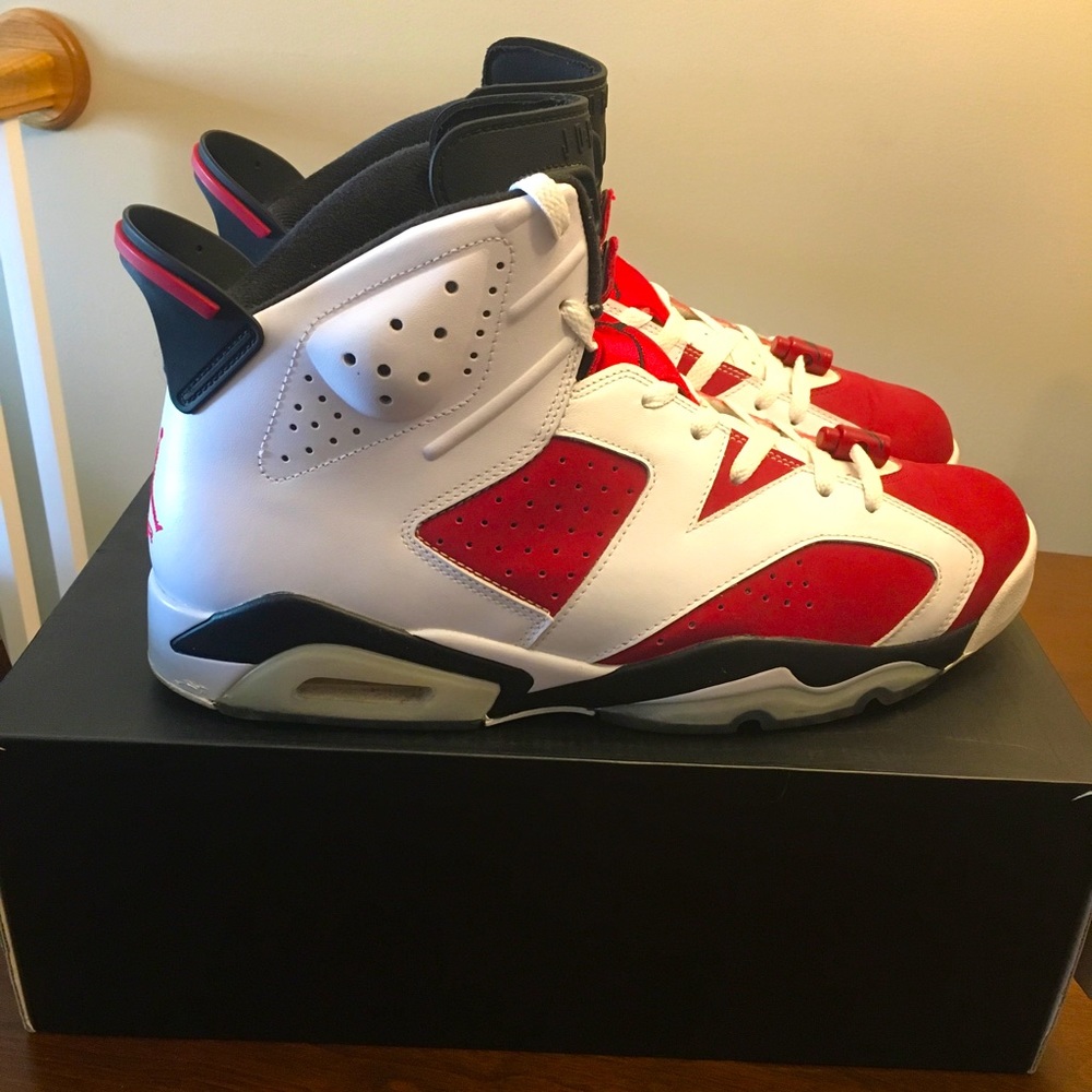 Air Jordan Sneakers | Carmine 6 | Size 13